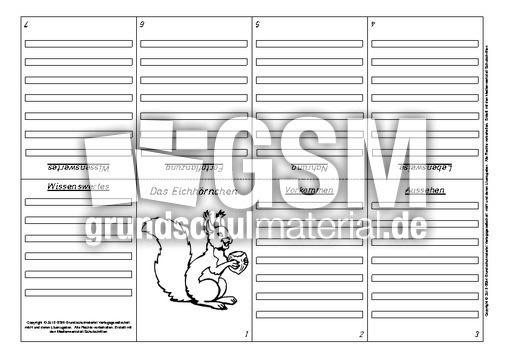 Eichhörnchen-Faltbuch-Steckbrief-achtseitig-3.pdf